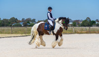 JurVon Park Dressage Nov 17