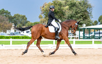VDC Open Dressage - Werribee - May 18